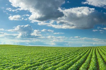 NF Validation : nos méthodes certifiées dans le domaine agroalimentaire