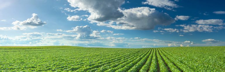 NF Validation : nos méthodes certifiées dans le domaine agroalimentaire